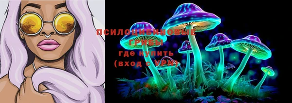 прущие крисы Алзамай
