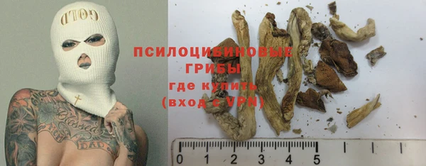 прущие крисы Алзамай