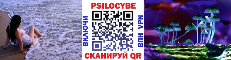 Псилоцибиновые грибы Psilocybe  Себеж 